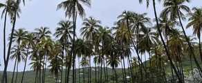Union Island : location de jet privé