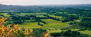 france : location de jet privé