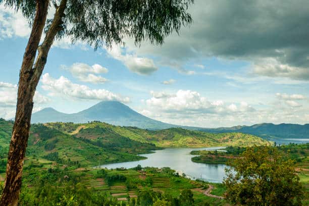 congo