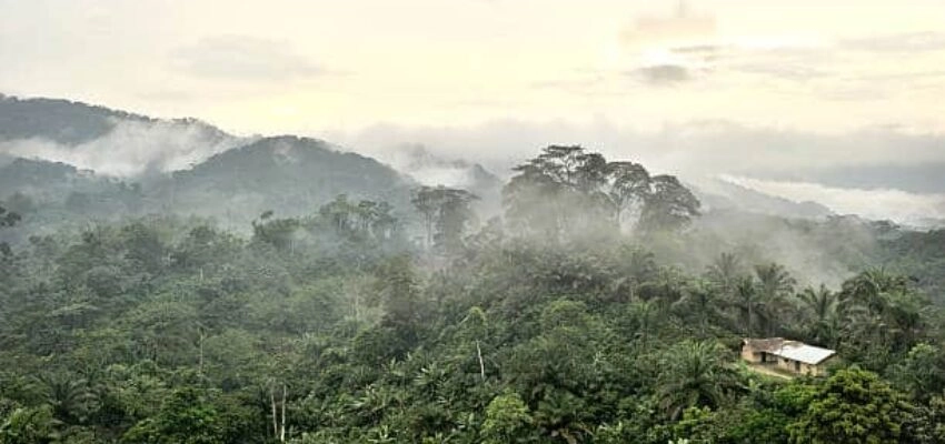 congo