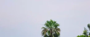Goma : location de jet privé