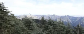 Blida Algérie location de jet privé