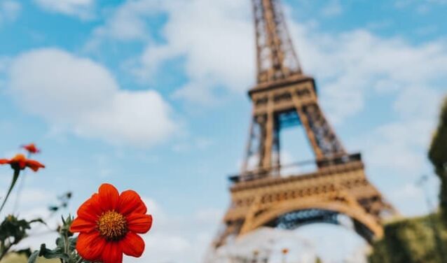 rapatriement en France, fleurs rouges devant la tour Eiffel
