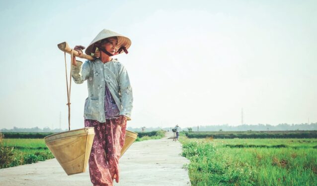 Sentier rural du Vietnam : tenue traditionnelle, chapeau conique, joug.