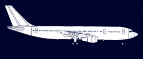 Location de jet privé – Avion commercial en profil.