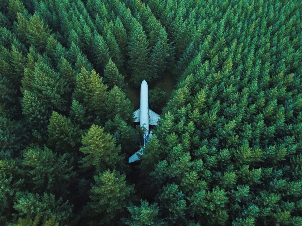 Avion dans une foret