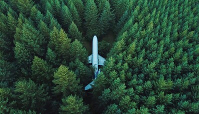 Avion dans une foret