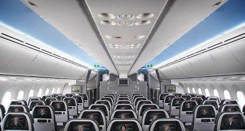 Boeing 787 Dreamliner intérieur