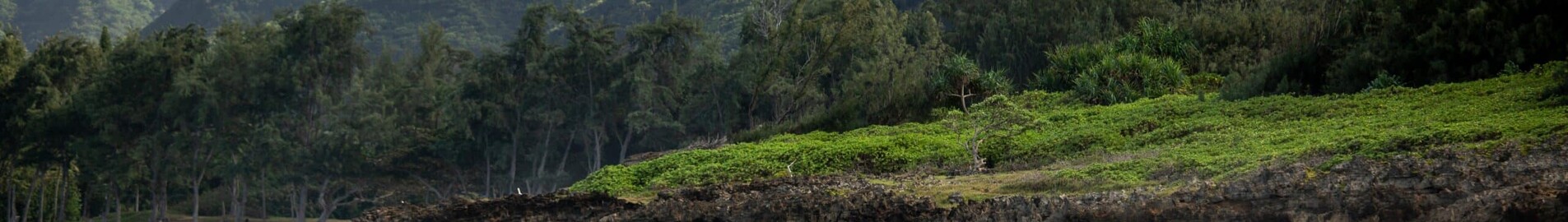 private jet hawaii