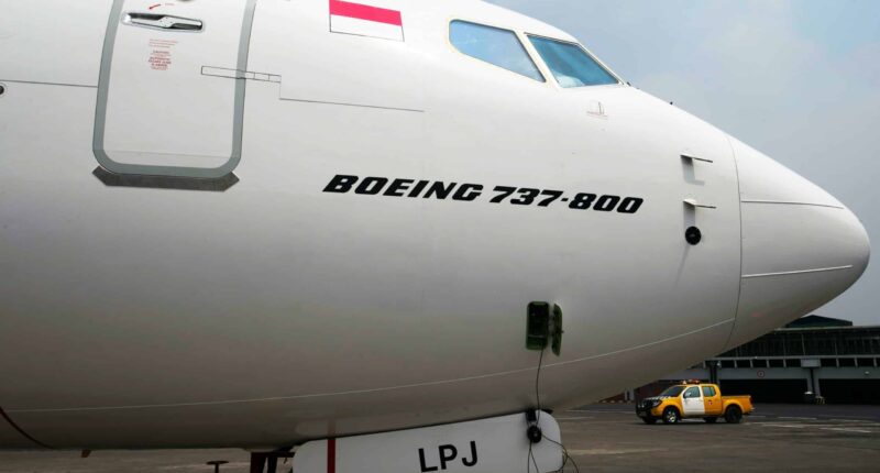 Boeing 737-800 : location de jet privé