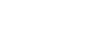 Vulcanair Aircraft : constructeur aéronautique