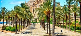 amsterdam palma location de jet privé