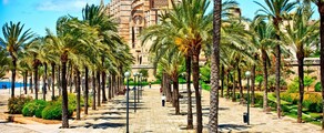 amsterdam palma location de jet privé
