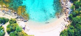 figari jet privé