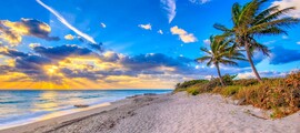 Miamipalmbeach3