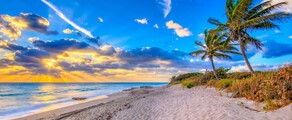 Miamipalmbeach3