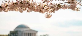 Las Vegas - Washington DC location jet privé