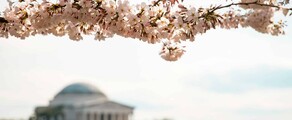 Las Vegas - Washington DC location jet privé