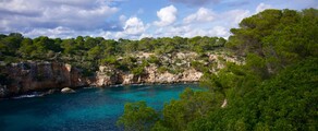 Francfort Palma location jet privé