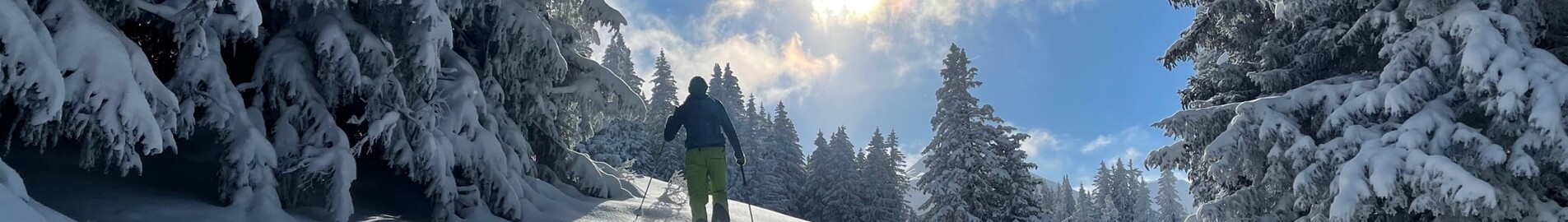 Photo d'une personne skiant dans la poudreuse d'une montagne enneigée