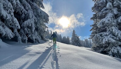 Photo d'une personne skiant dans la poudreuse d'une montagne enneigée