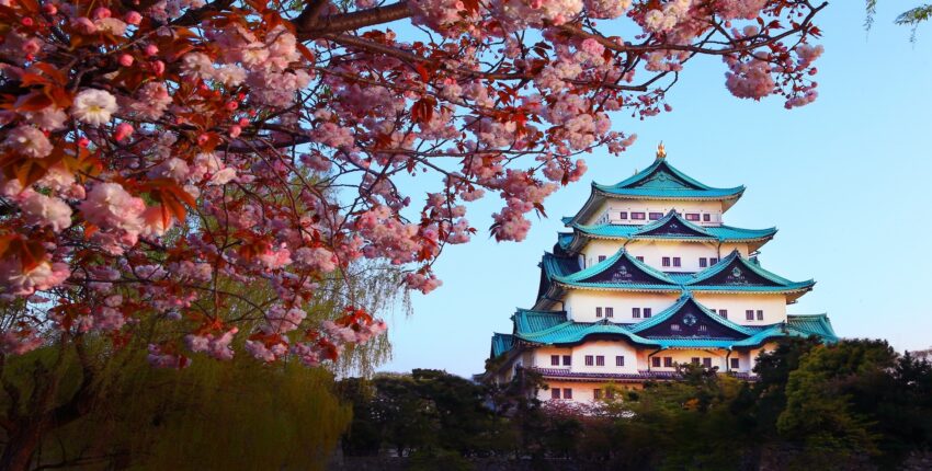 Nagoya,Castle,And,Cherry,Blossom,Season