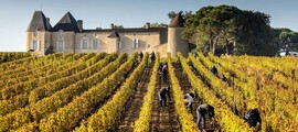 helicoptere vins de bordeaux