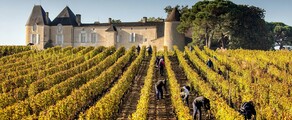 helicoptere vins de bordeaux