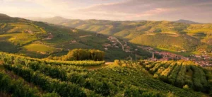 valpolicella
