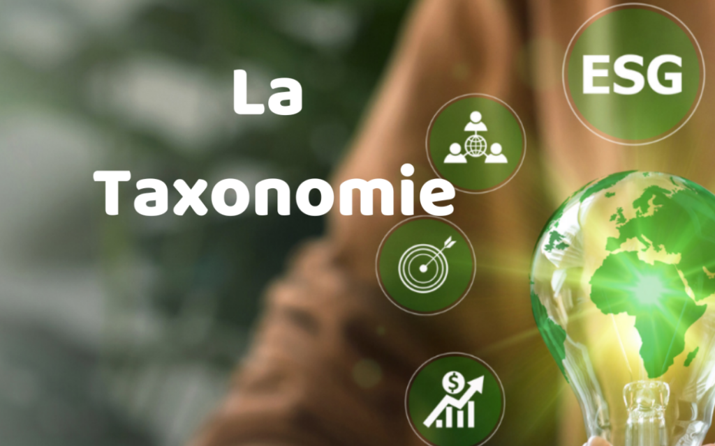 Taxonomie verte et aviation d&rsquo;affaires : ce que la décision du Tribunal de l&rsquo;UE change pour le jet privé